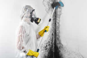 Signs That Your Business Needs Deep Cleaning Done